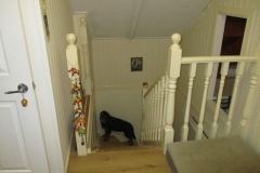 Stairwell-Before-1